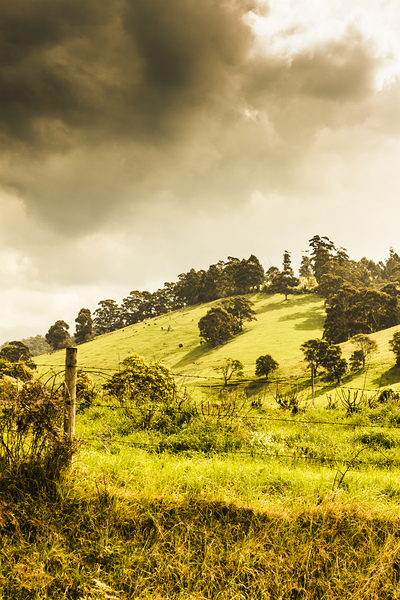 Lush green country farmland by Jorgo