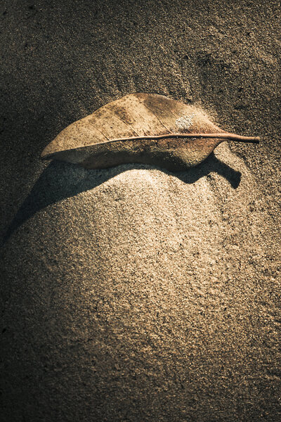 The desert burial by Jorgo