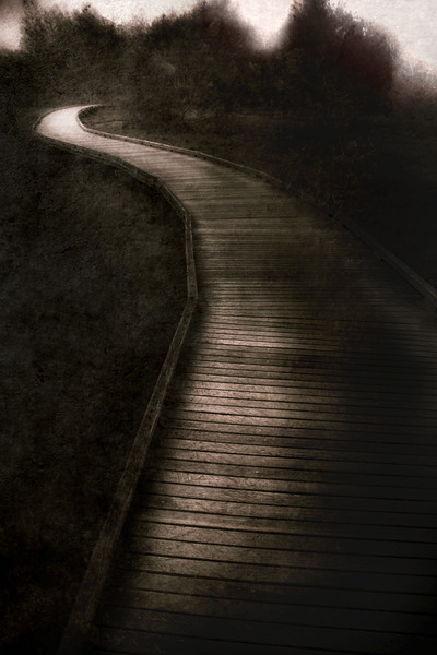 Forest Of Darkness Print