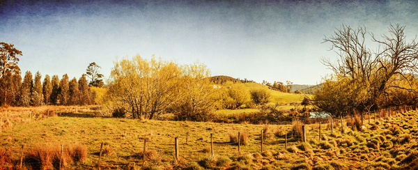Antique weathered countryside by Jorgo