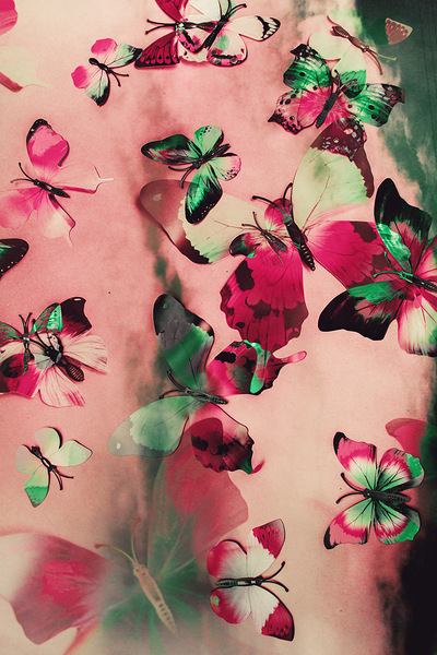 Creative butterfly background Print