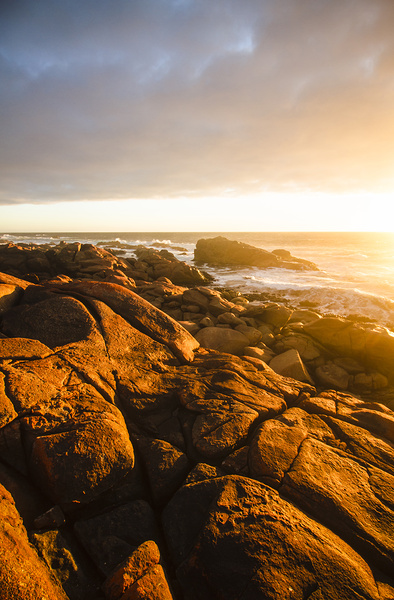 Golden Tasmania coastline Print