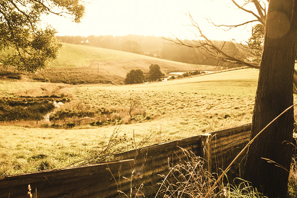 Sun drenched country Print