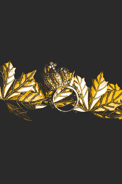 Royal crown jewels by Jorgo