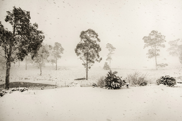 White washed by Jorgo