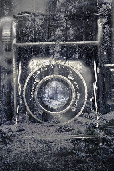 Forest ice exposition by Jorgo