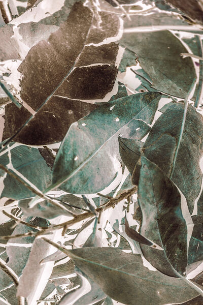 De Composition by Jorgo