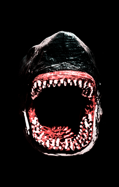 Shark attack by Jorgo