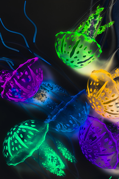 Neon sea life by Jorgo