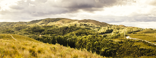 Out back Zeehan by Jorgo