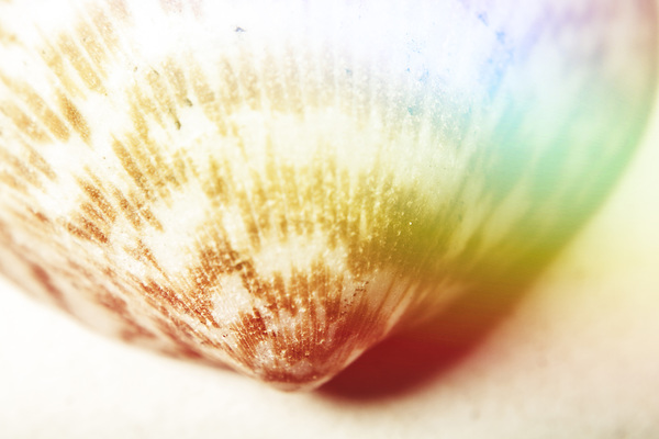 Colorful light flare over seashell by Jorgo