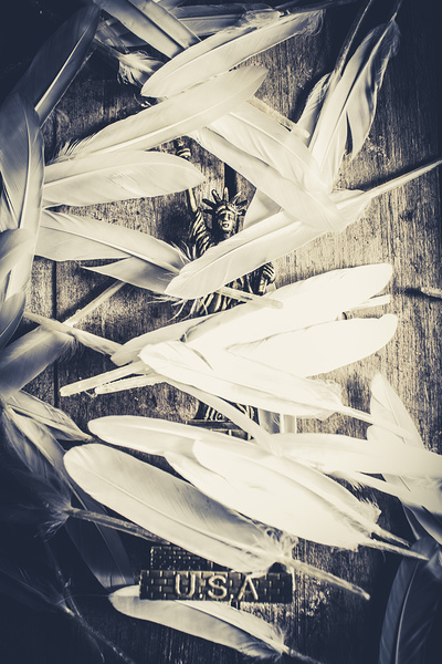 Feathers of freedom and the statue of liberty by Jorgo