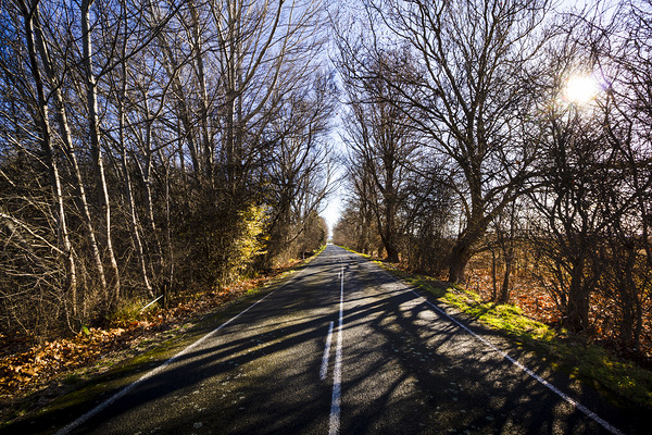 Beautiful roads in winters shadow by Jorgo