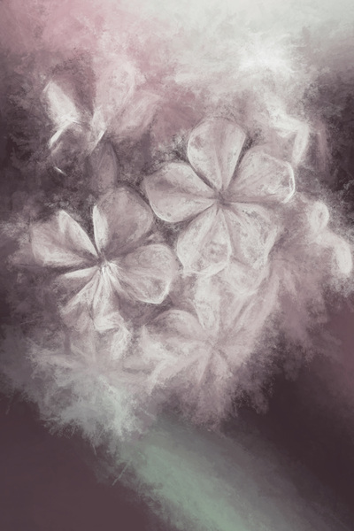 Fibonacci flowers in energy manipulation calculus by Jorgo