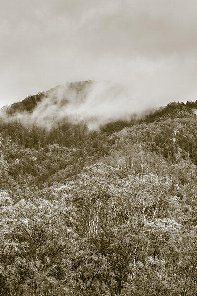 Misty mountains by Jorgo