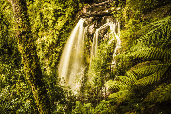 Philosopher Falls Western Tasmania by Jorgo