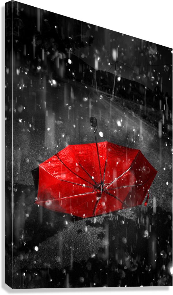 Gone with the rain Canvas Print