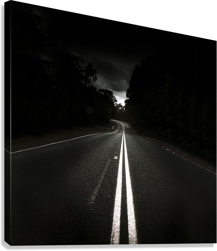 Journey Of Distance Canvas Print
