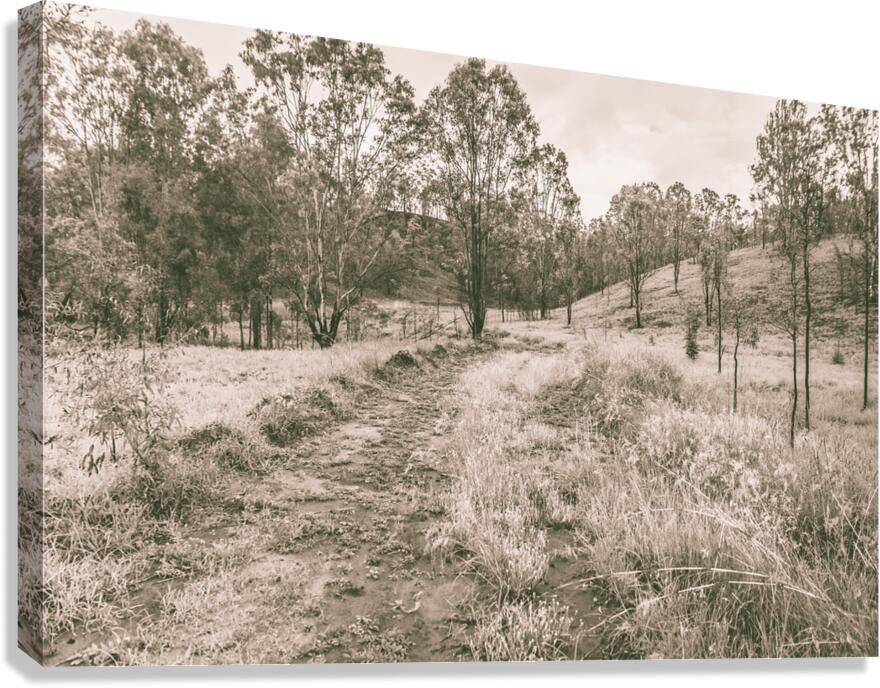 Way beyond outback Canvas Print