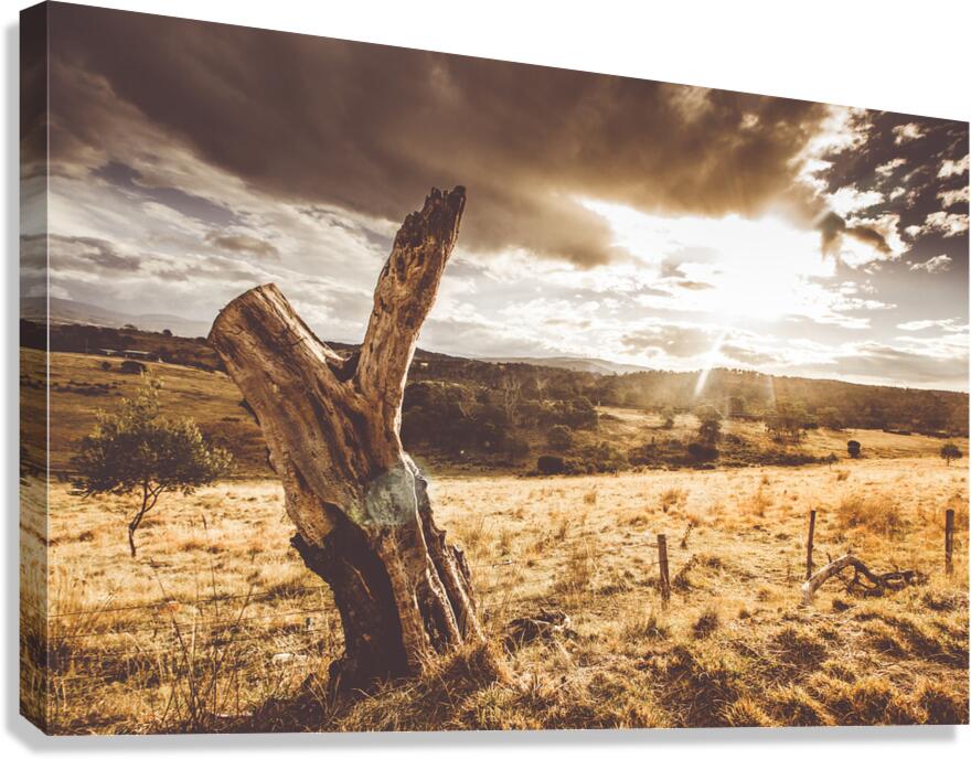 Cranbrook sunset Canvas Print