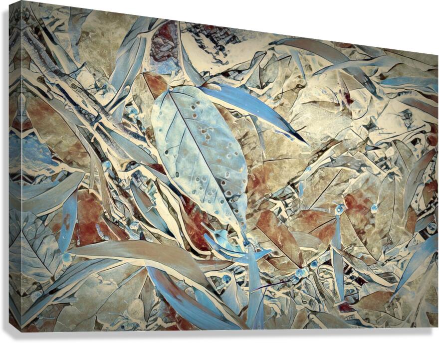 Fall and flow Canvas Print