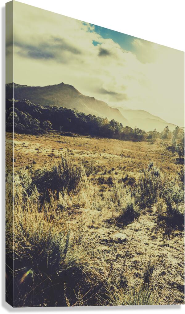 The last light Canvas Print
