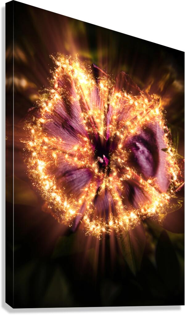 Flower power Canvas Print