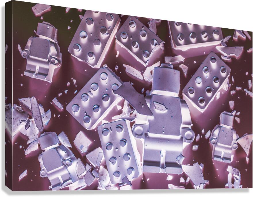 Space cadets Canvas Print