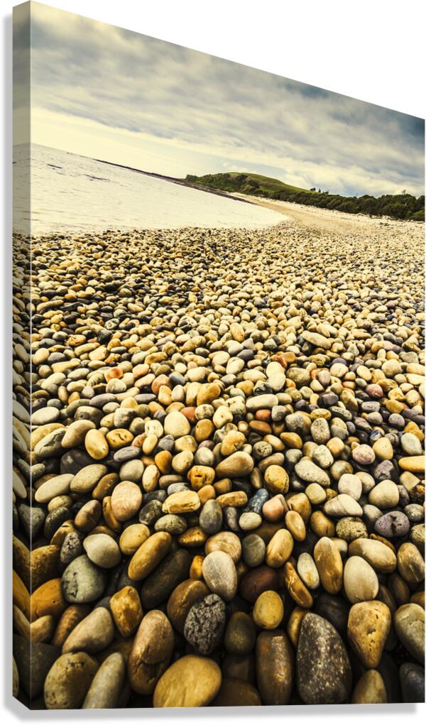 Lillico Beach Tasmania Canvas Print