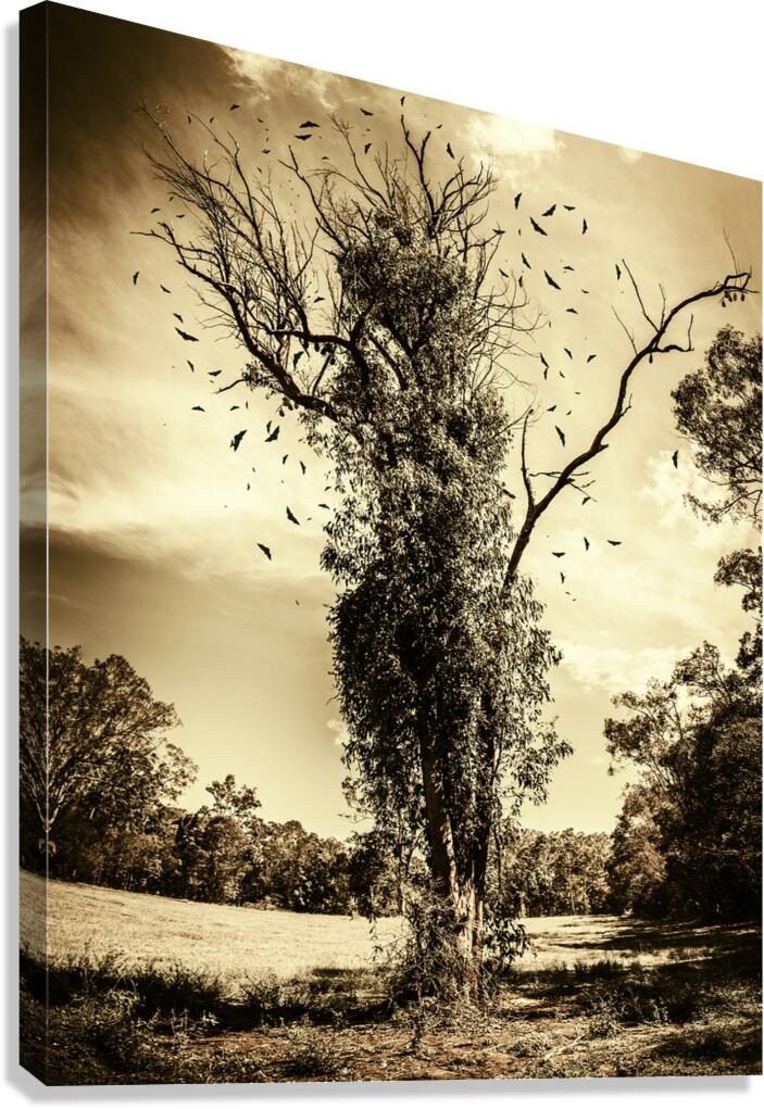 Mourning tree Canvas Print