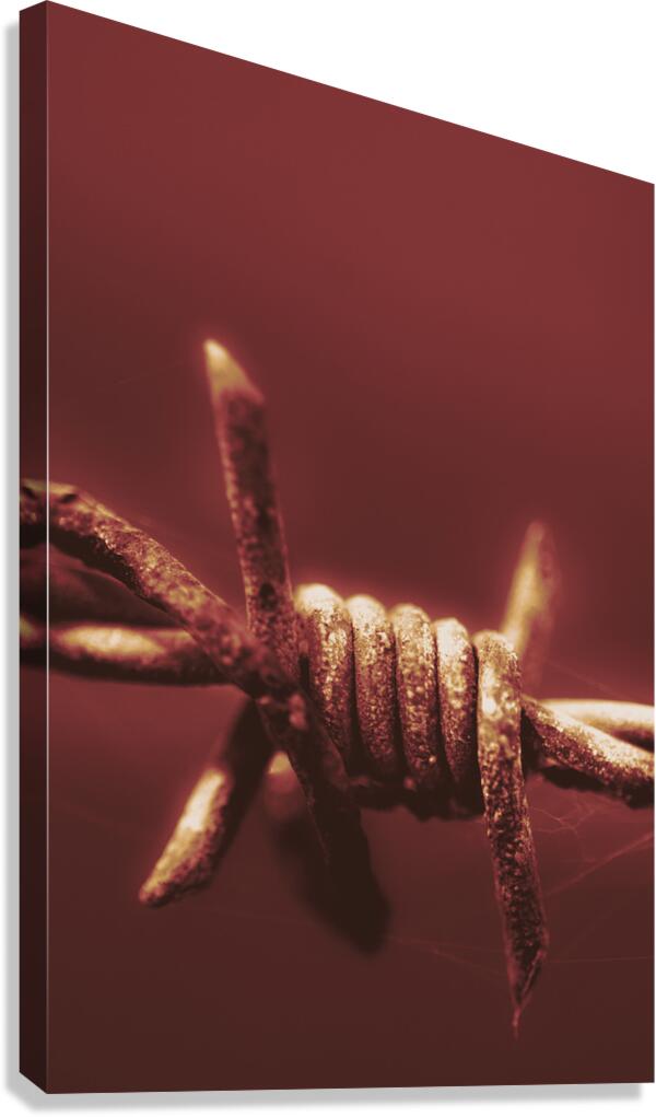 Corrosion of civil liberties Canvas Print