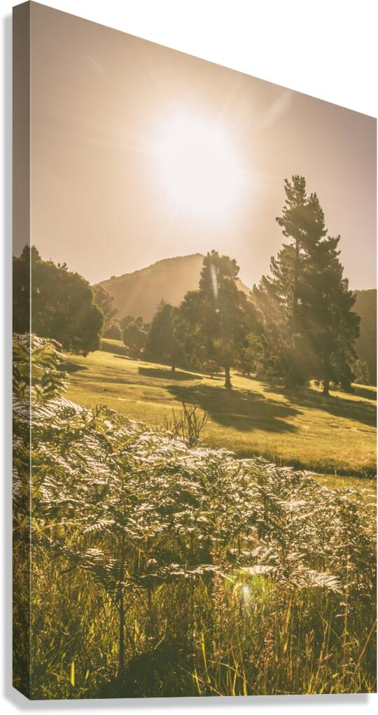 Fields of springtime Canvas Print