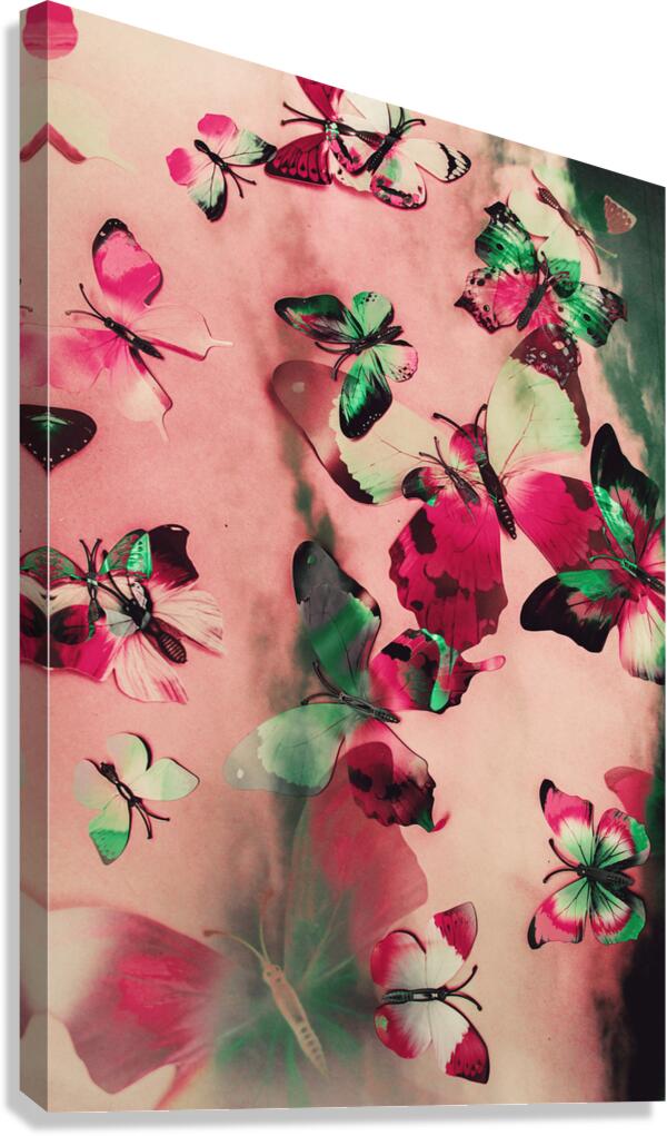 Creative butterfly background Canvas Print