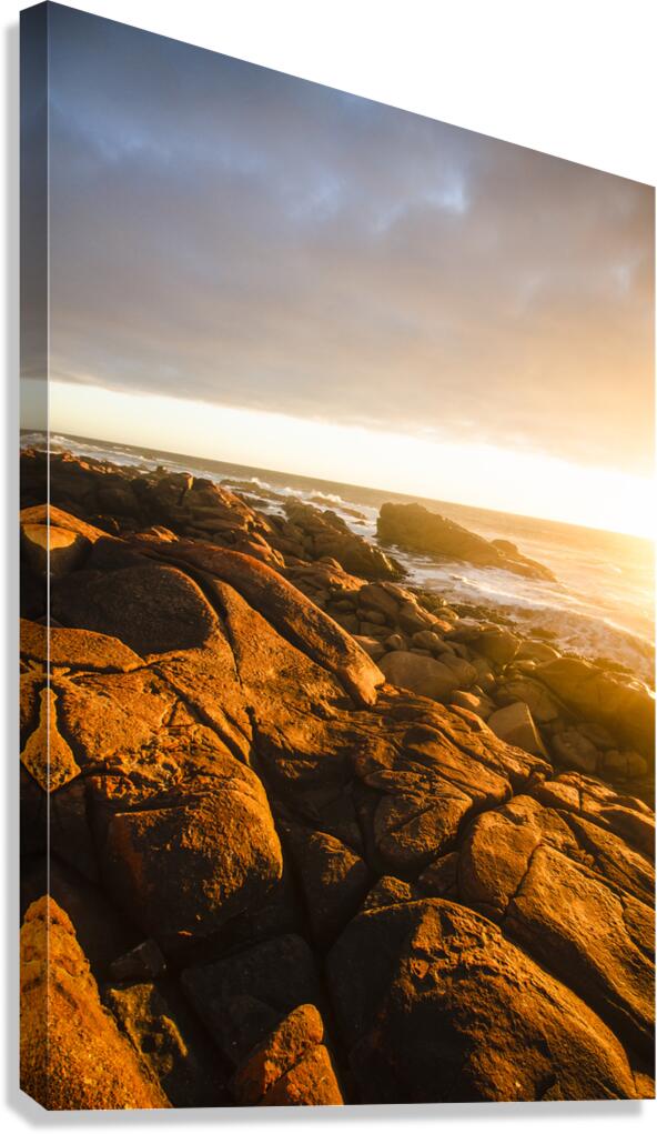 Golden Tasmania coastline Canvas Print