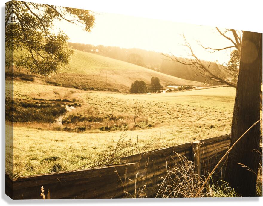 Sun drenched country Canvas Print