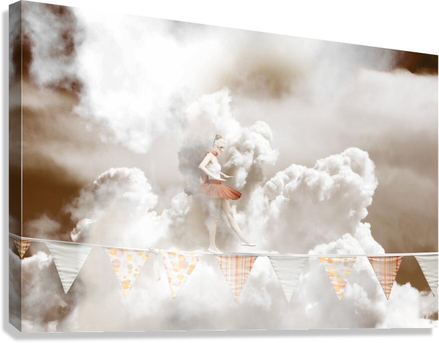 Sky Dance Canvas Print