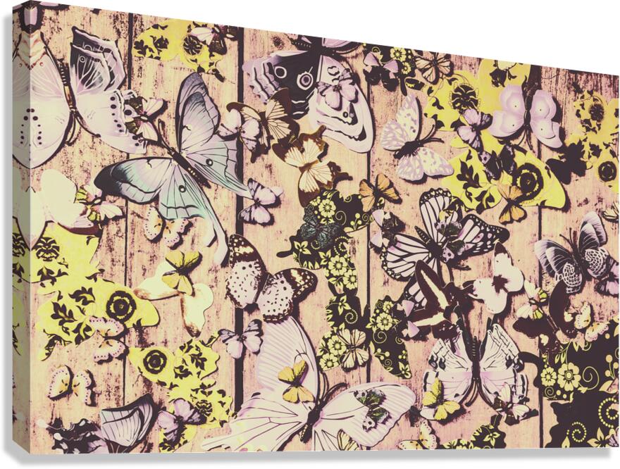 Flight patterns Canvas Print