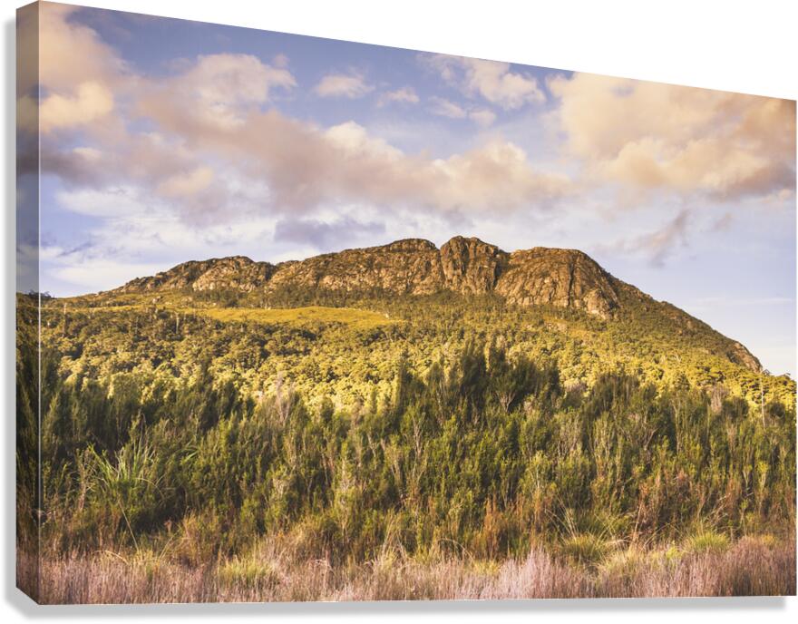 Rusticity Canvas Print