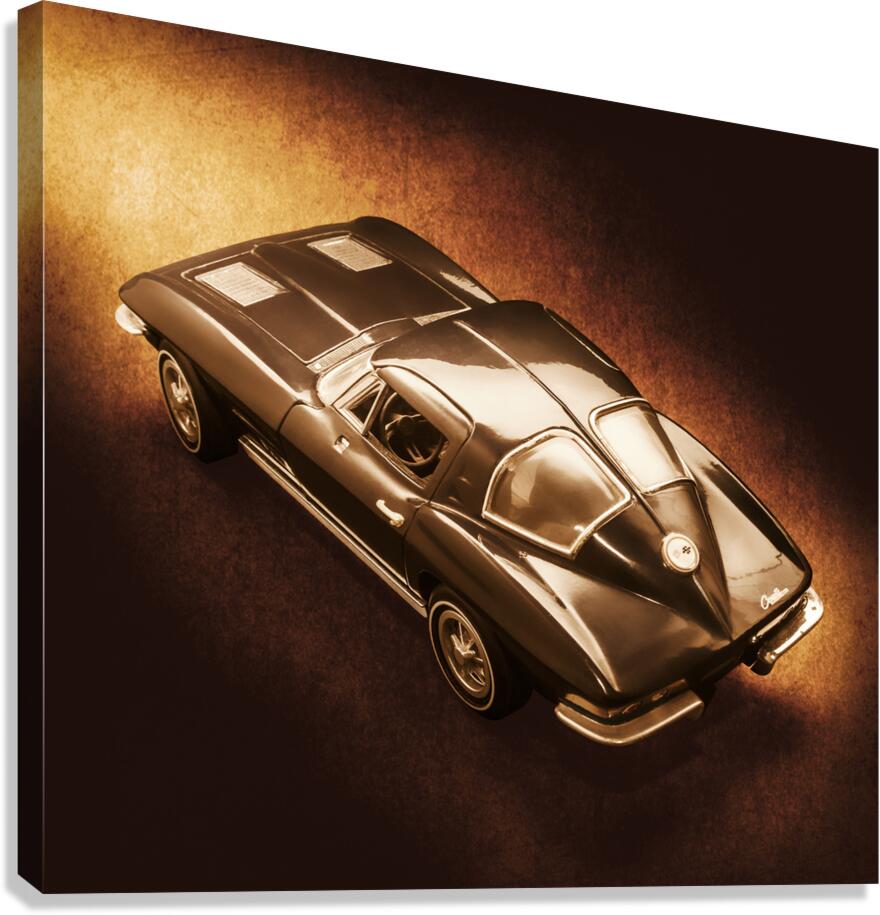 Ray tail Canvas Print