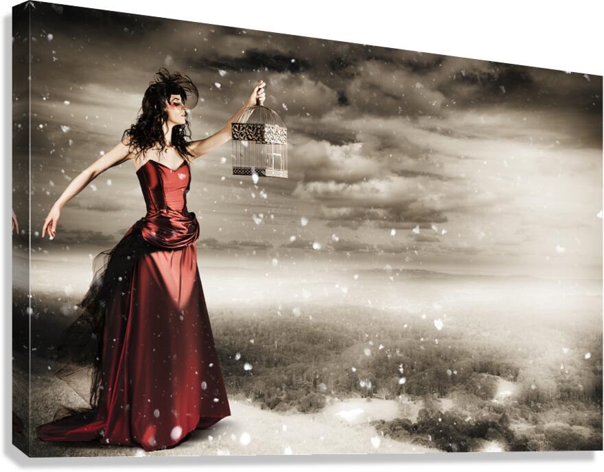 Free fall Canvas Print
