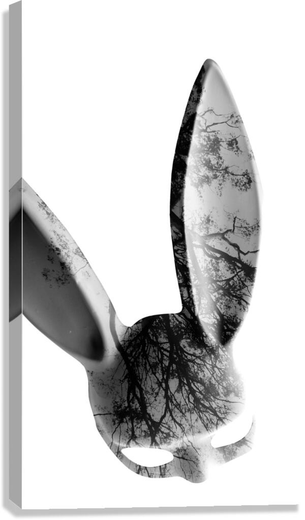 Never mind Canvas Print