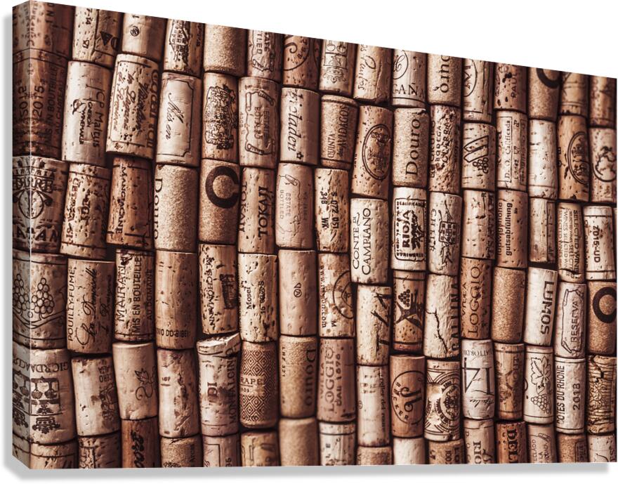 Cellarbrate Canvas Print