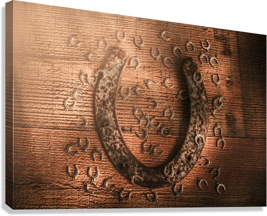 Rustic luck Canvas Print