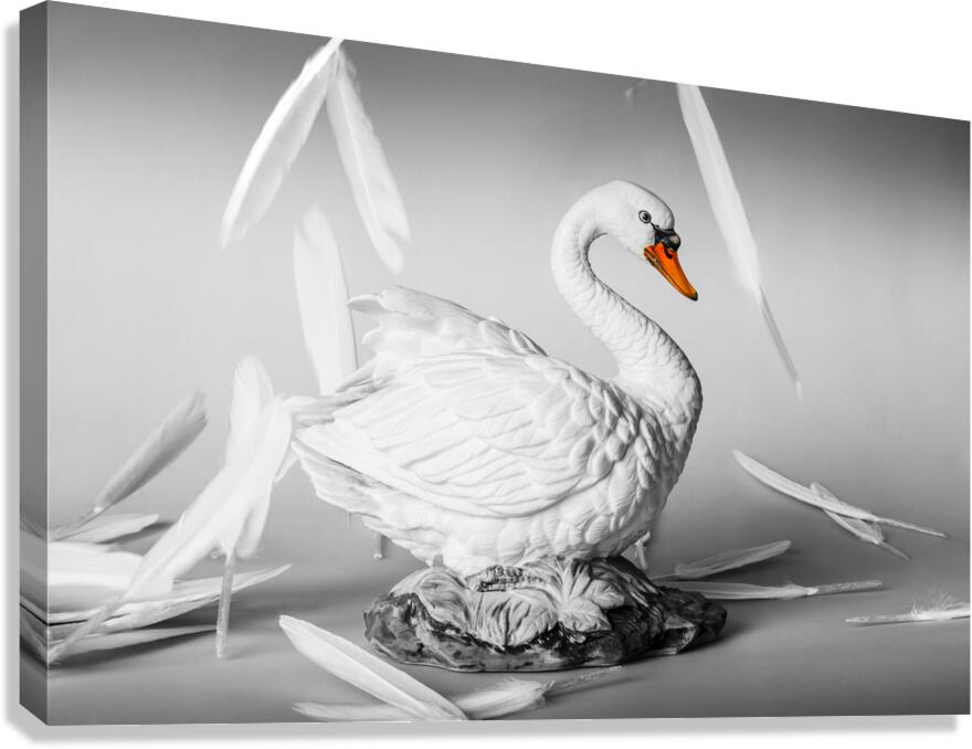 On a porcelain pedestal Canvas Print