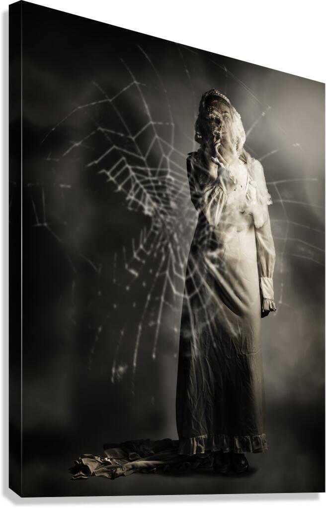 Like Ghosts Canvas Print