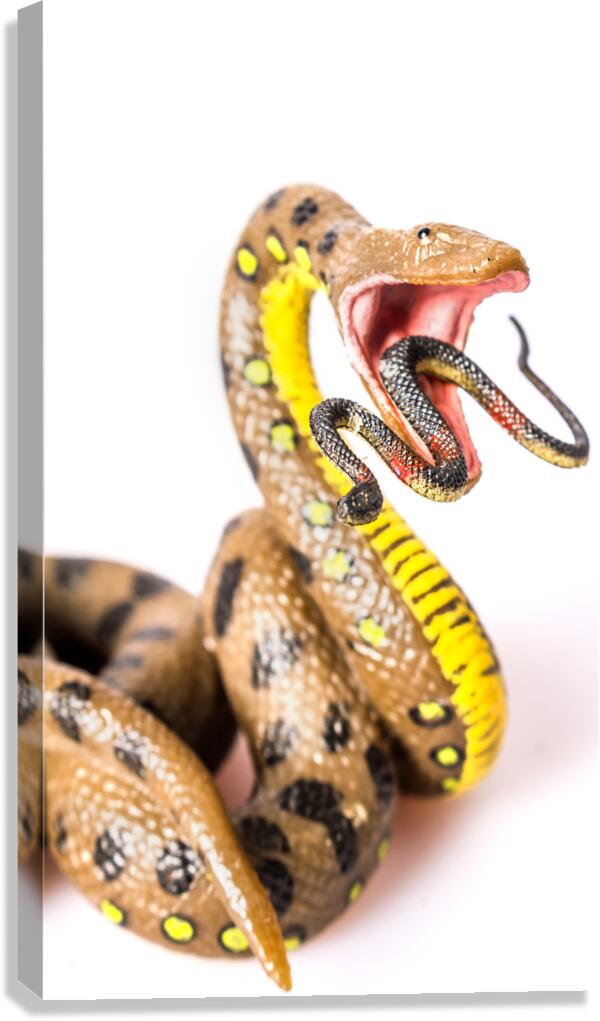 Snake vs Snake Canvas Print