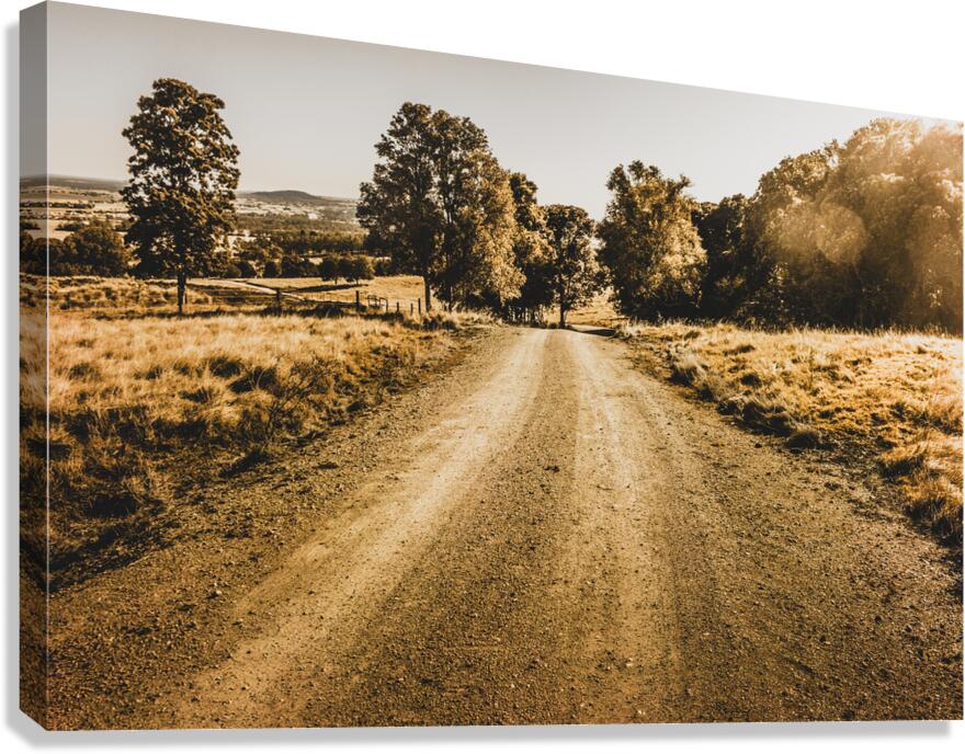 The Distance Canvas Print