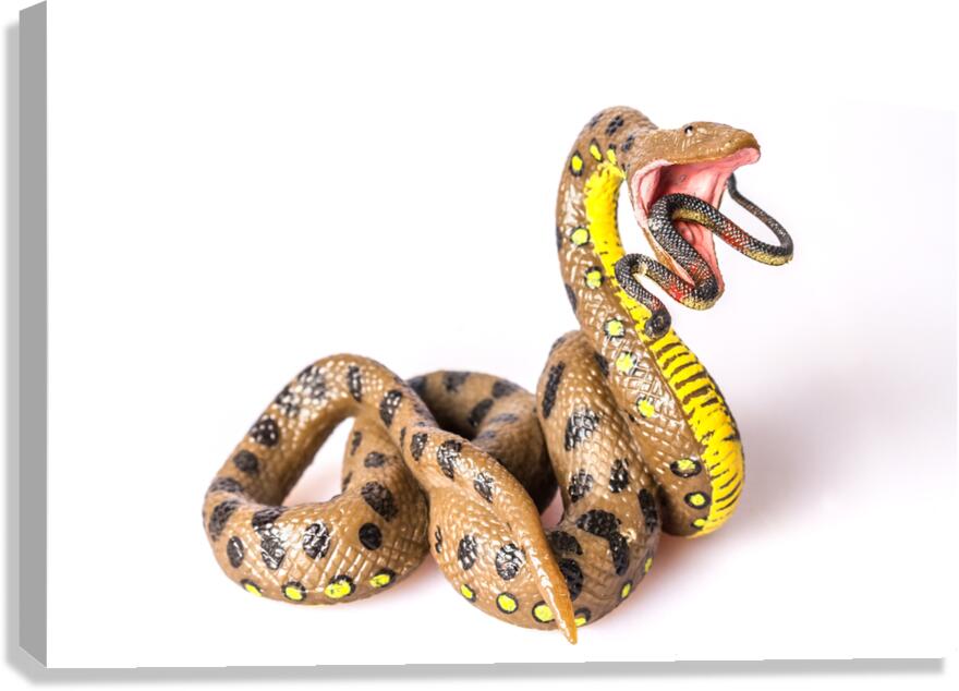 Serpent Eats Serpent Canvas Print