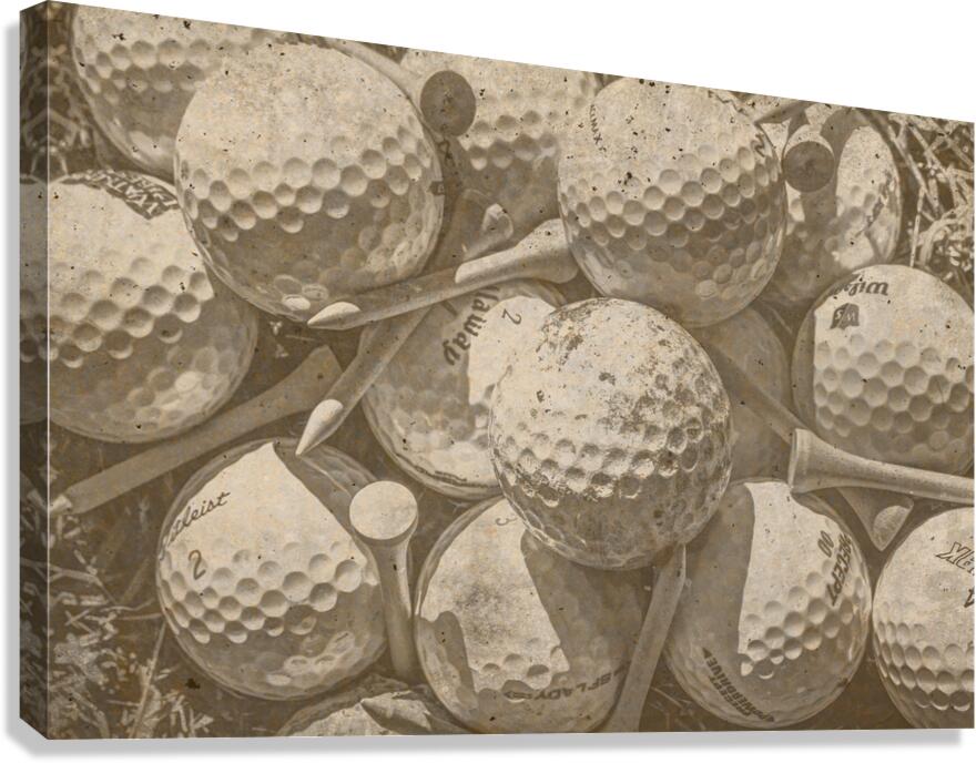 Wear And Tear Canvas Print