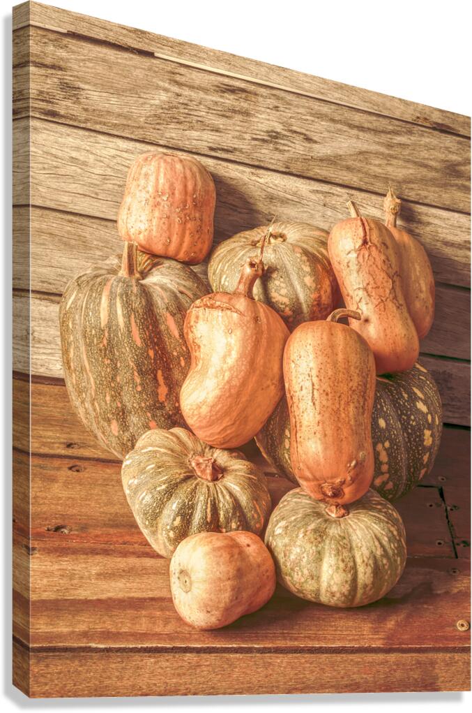 Pumpkin Patch Impression sur toile